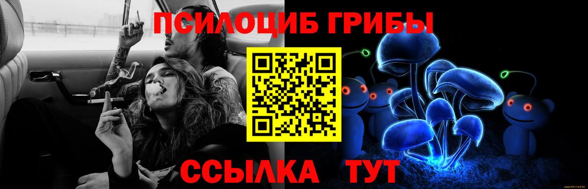 Псилоцибиновые грибы Magic Shrooms  Галлюциногенные грибы мицелий  Вход с VPN  сколько стоит  Новочебоксарск 